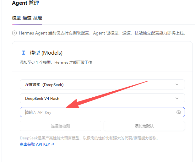 填入 API Key 并点连通性检测